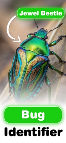 Bug Identifier - BugLens screenshot