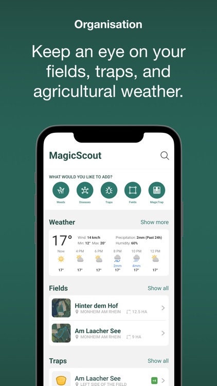 MagicScout