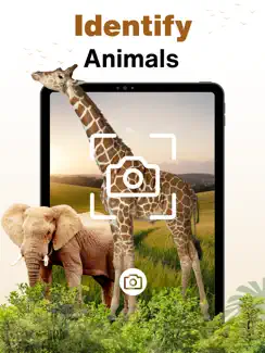 Animal Identifier: AI Scanner iPad image 1