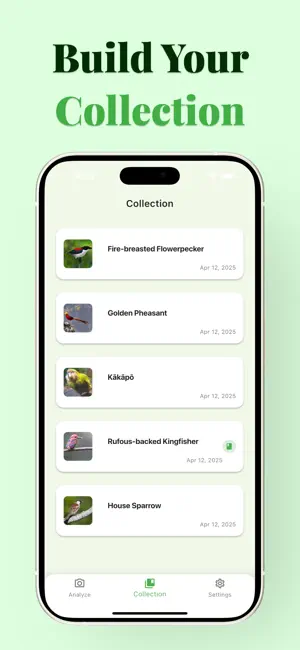 Bird Identifier - BirdSnap screenshot 4
