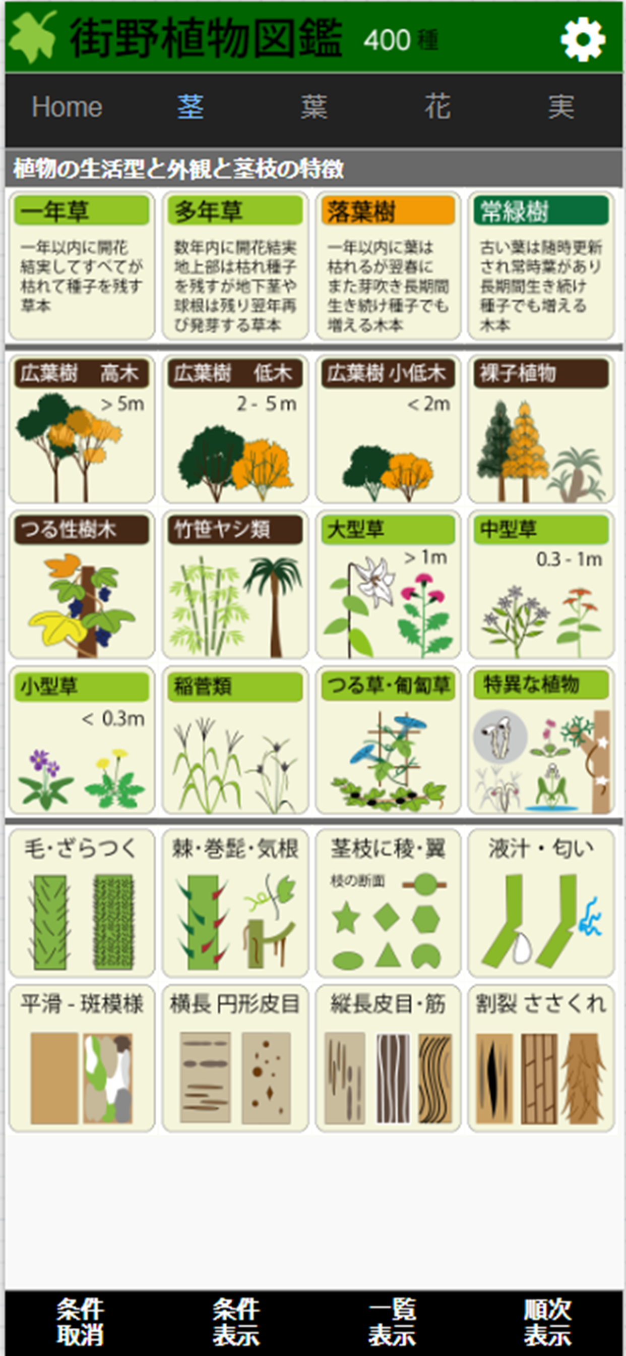 街野植物図鑑入門編 (jpflora300)