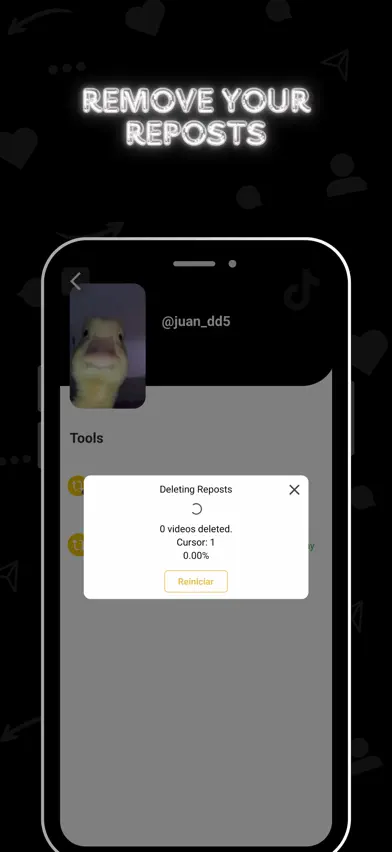 SocialAut screenshot 2