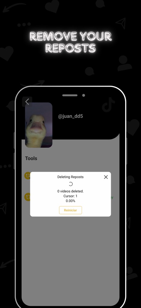 SocialAut - Observe the app's live repost deletion process, featuring a clear progress indicator and real-time updates on videos deleted.