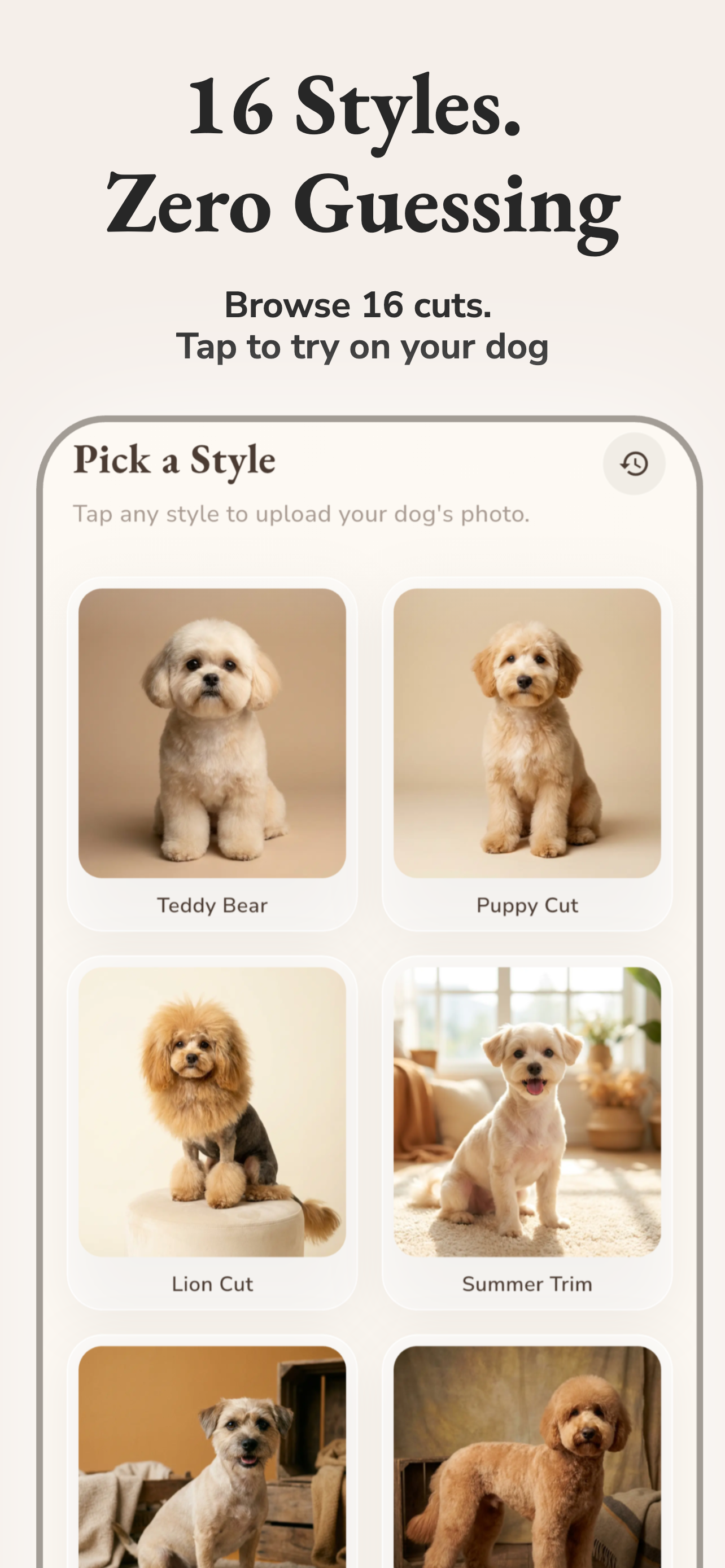 AI Dog Grooming and Haircut screenshot 4