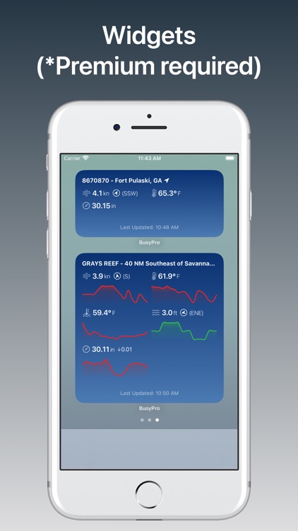 BuoyPro: NOAA Marine Weather screenshot-4