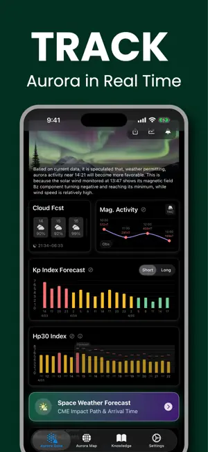 Eh! Aurora screenshot 1