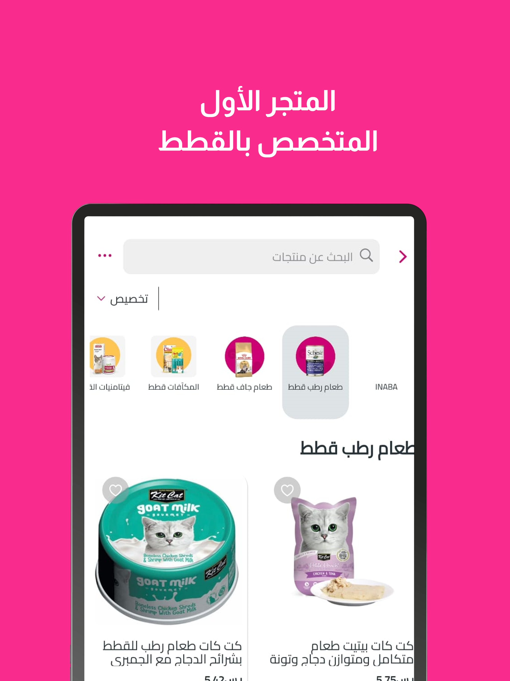 كيتي