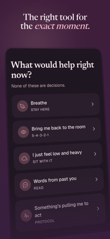 Luteal: PMS & PMDD Support Screenshot 5 of 6