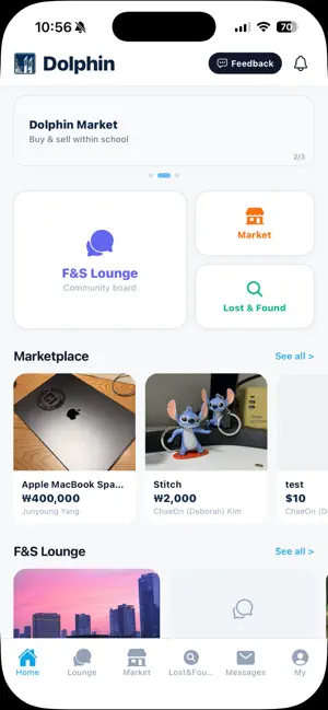 CI Dolphin screenshot 1