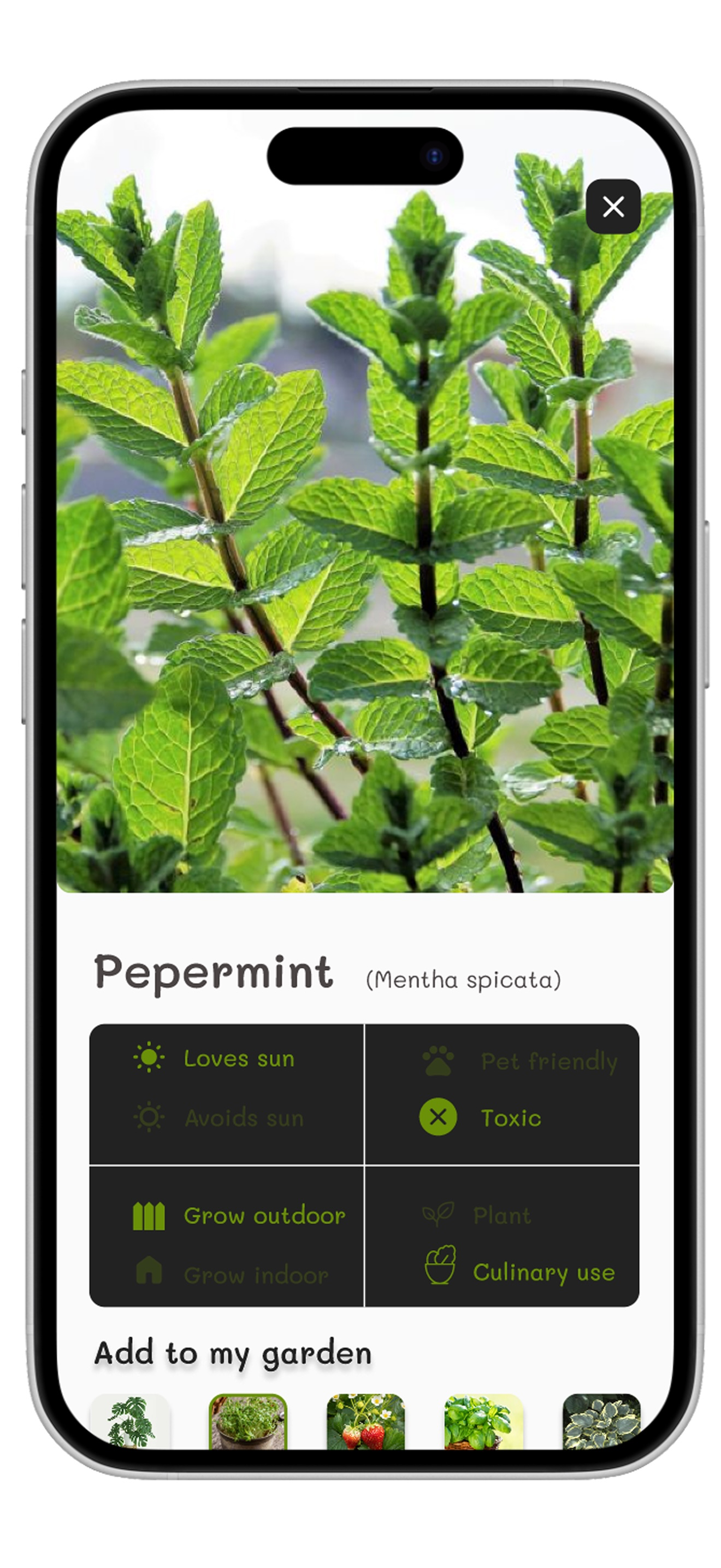 Gardener | PLANT screenshot 3
