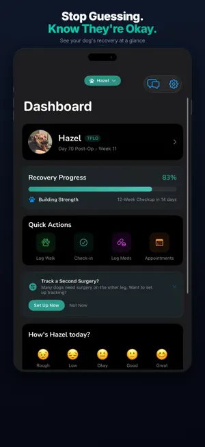 Pawcovery screenshot 1