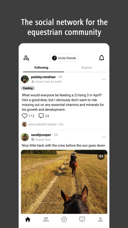 Haylo: for Equestrians