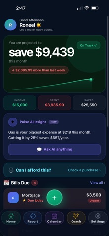 PulseSave screenshot
