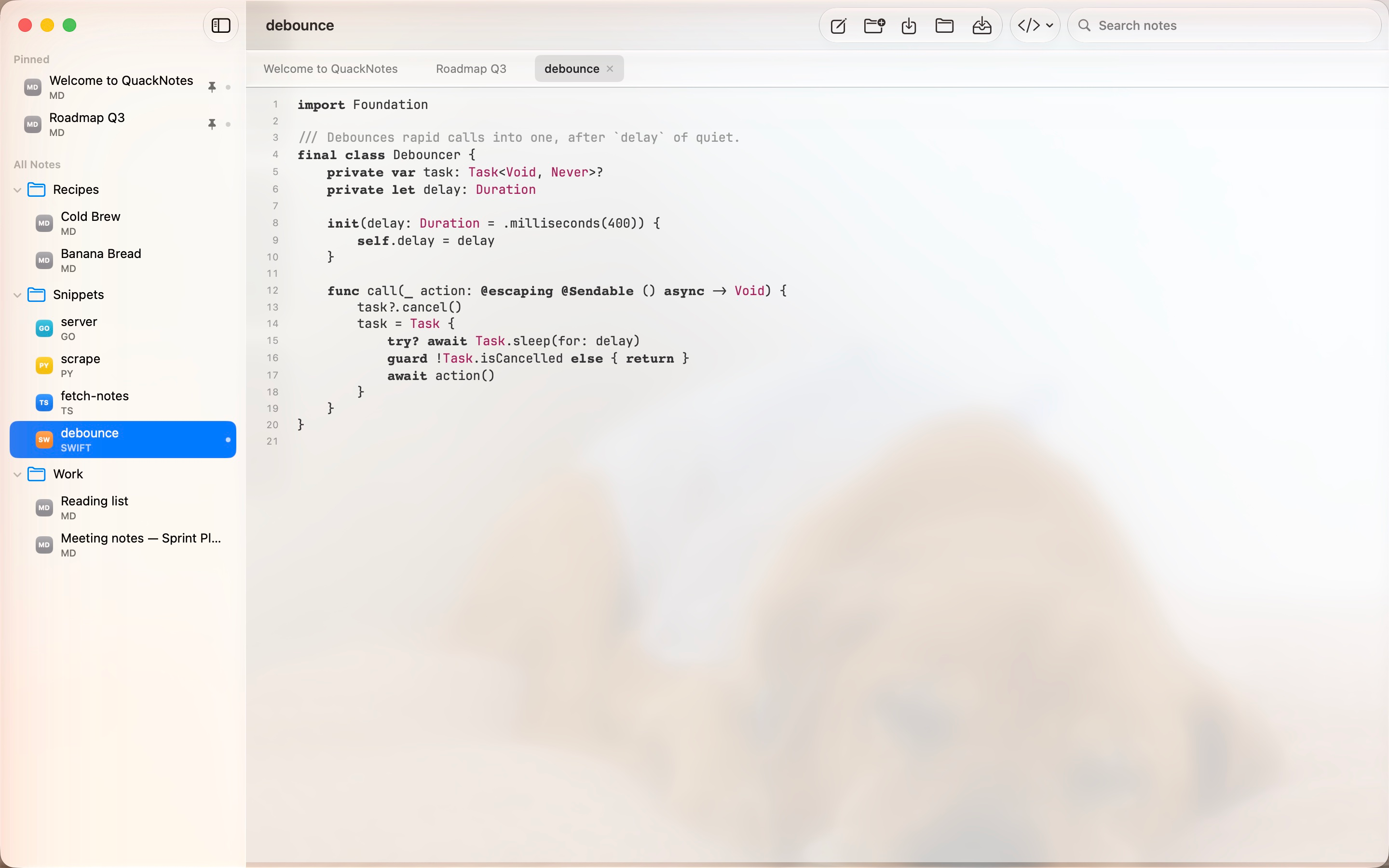 QuackNotes – Notes & Code screenshot 18