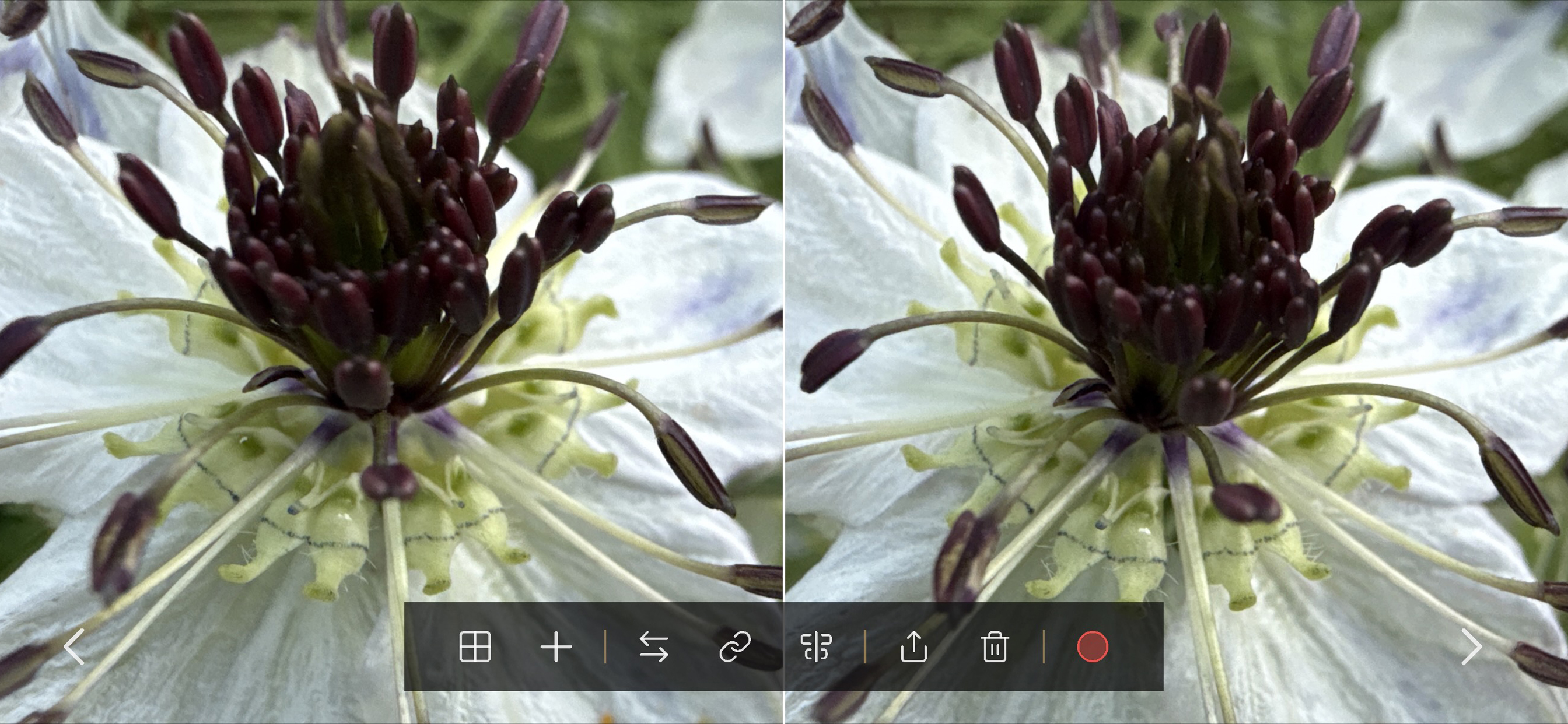 StereoPix screenshot 4