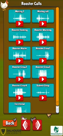Cluckify screenshot