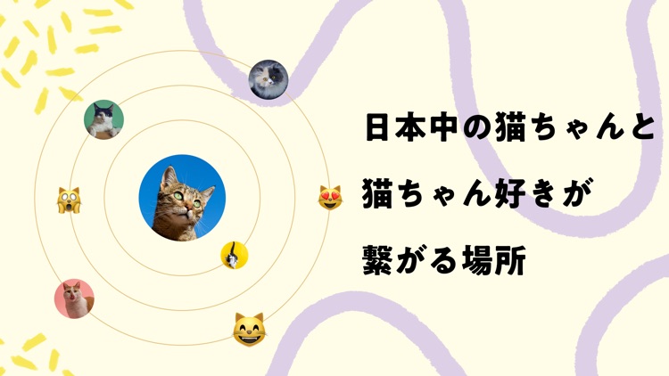 nekochan - WOWOW発！猫だけのライブ配信アプリ screenshot-3