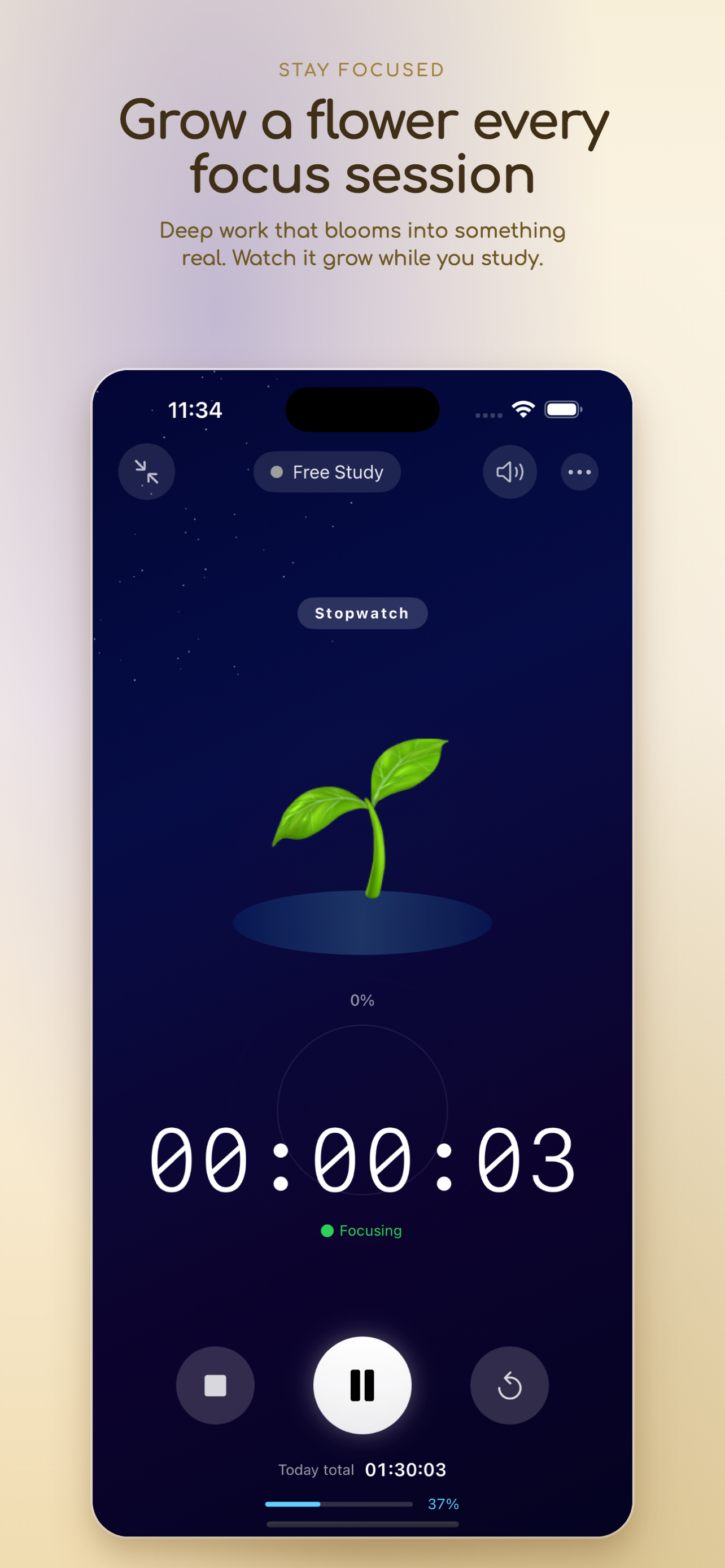 DuckyStudy screenshot 2