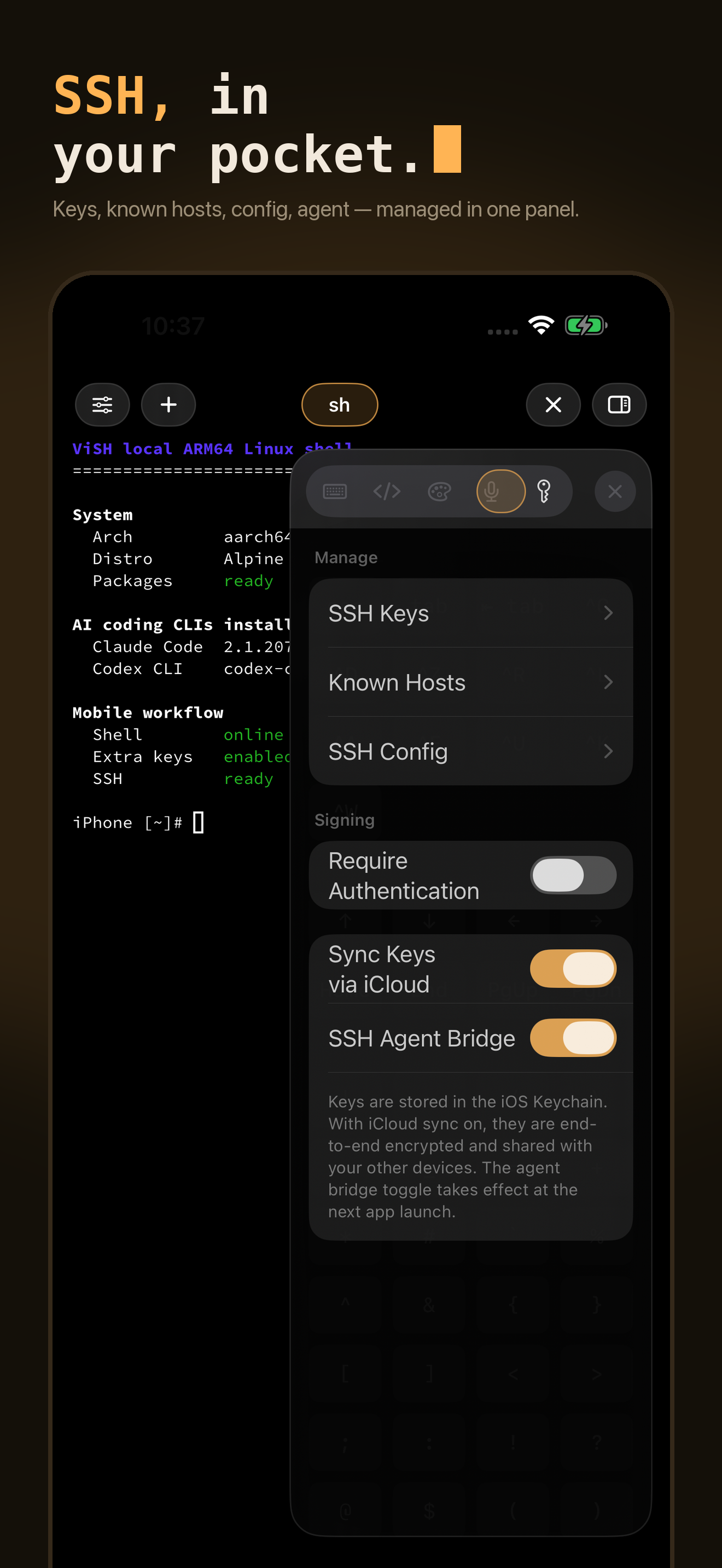 ViSH - AI Coding Terminal screenshot 6