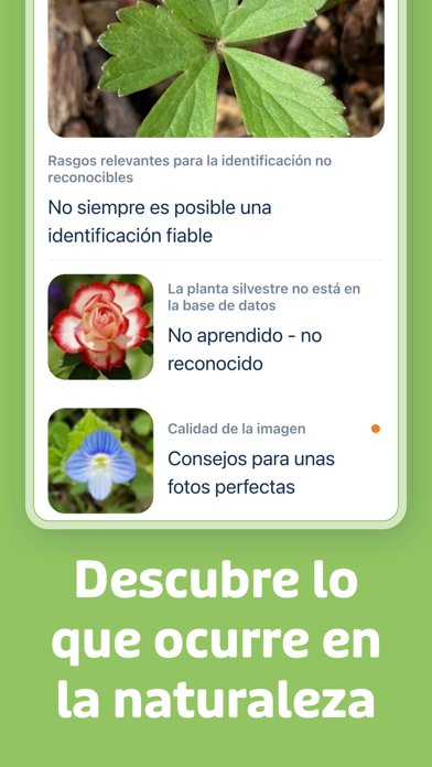 Flora Incognita