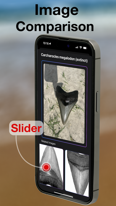 BeachBop® iPhone screenshot 5 - Education app