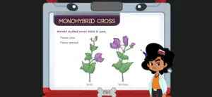 Monohybrid Cross - G8 screenshot 3