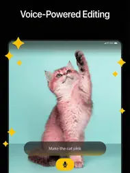Auror AI - Photo Video Editor ipad bilder 1