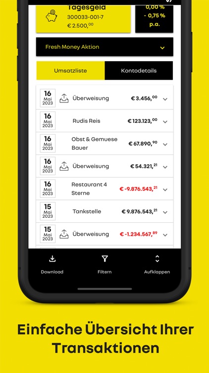 Renault Bank direkt screenshot-3