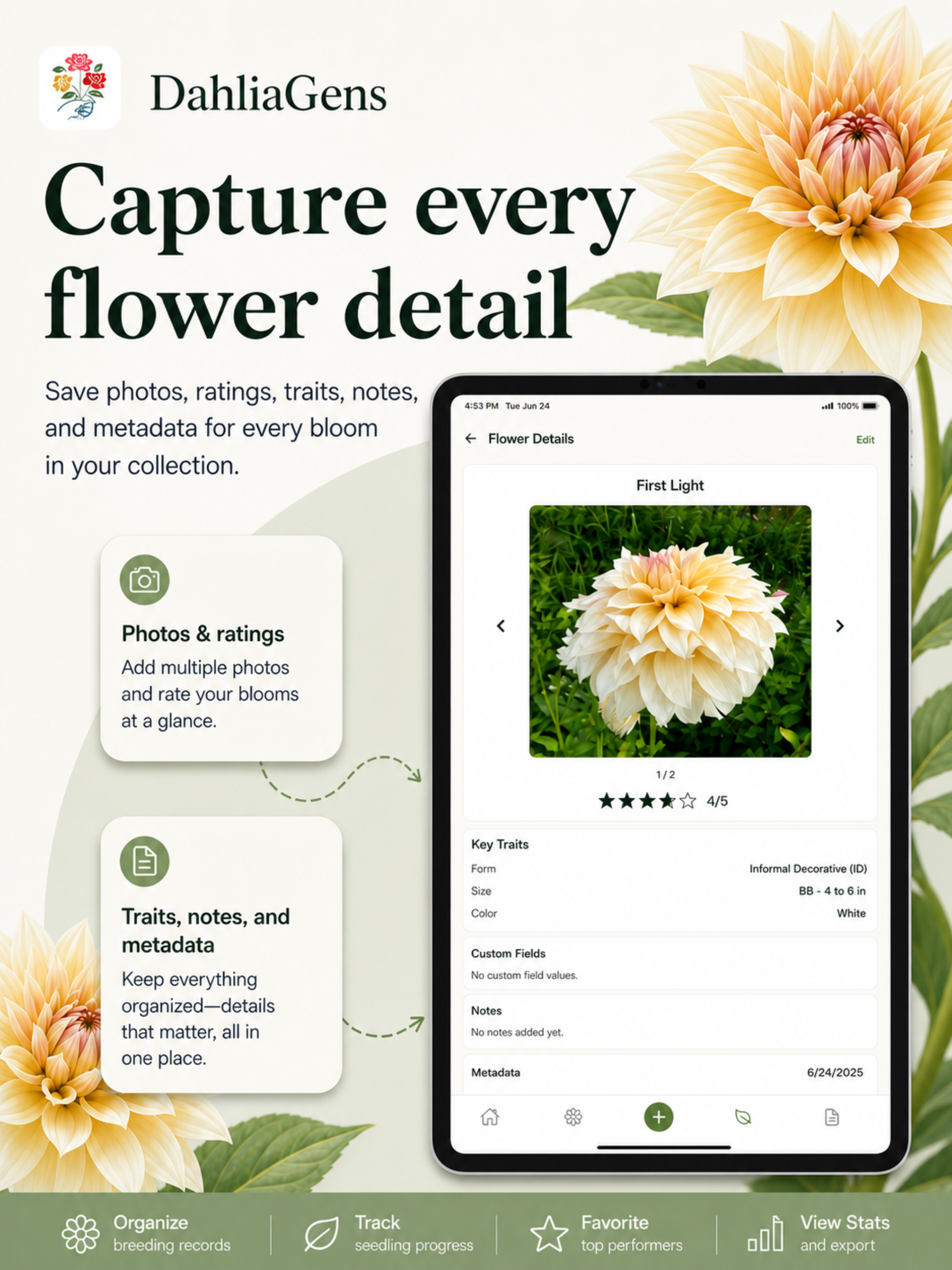 DahliaGens