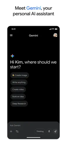 Google Gemini screenshot 2