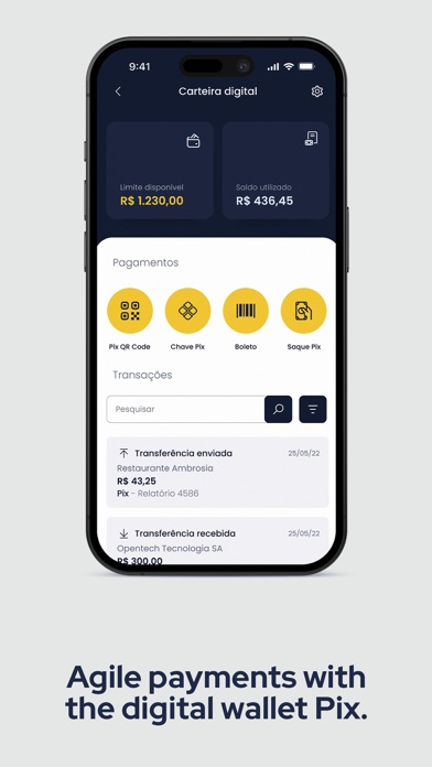 Paytrack Screenshot