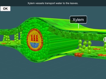 Photosynthesis by EduTech Era iPad screenshot