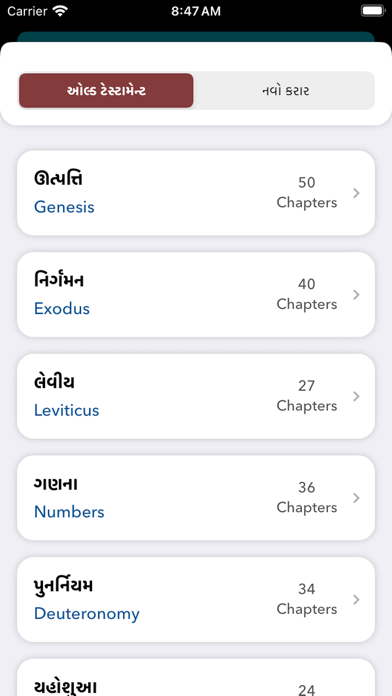 Holy Bible in Gujarati Screenshot