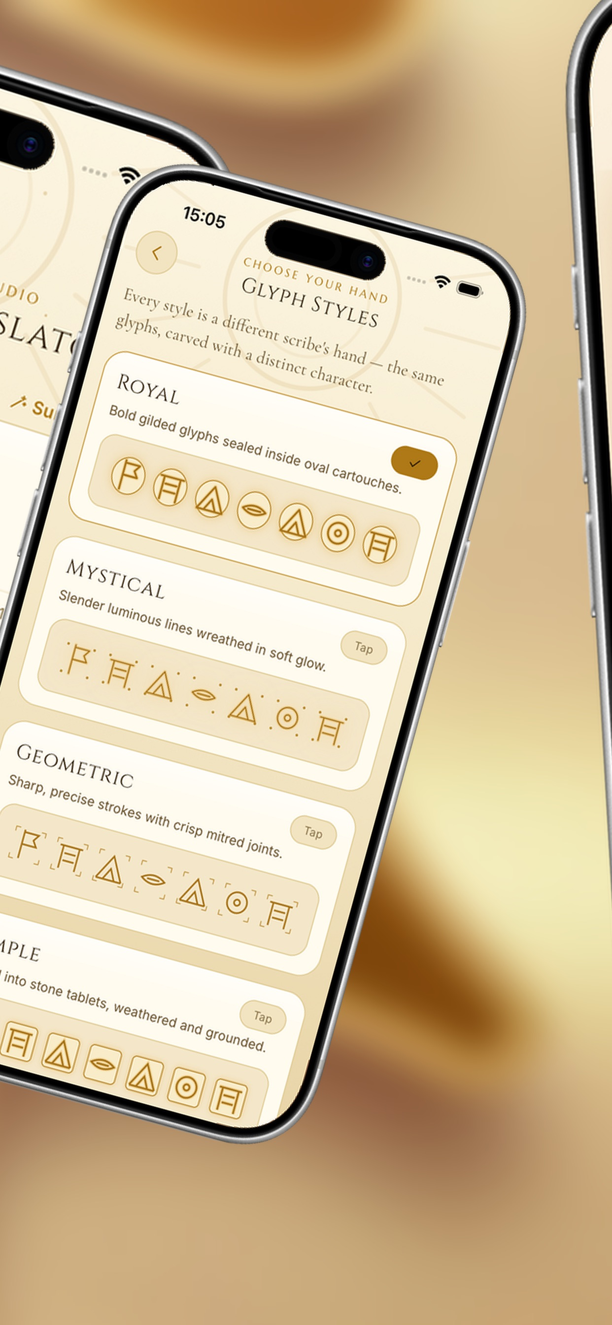 PharaohTranslator screenshot 8
