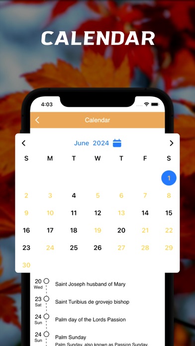 Hungarian Bible - offline Screenshot
