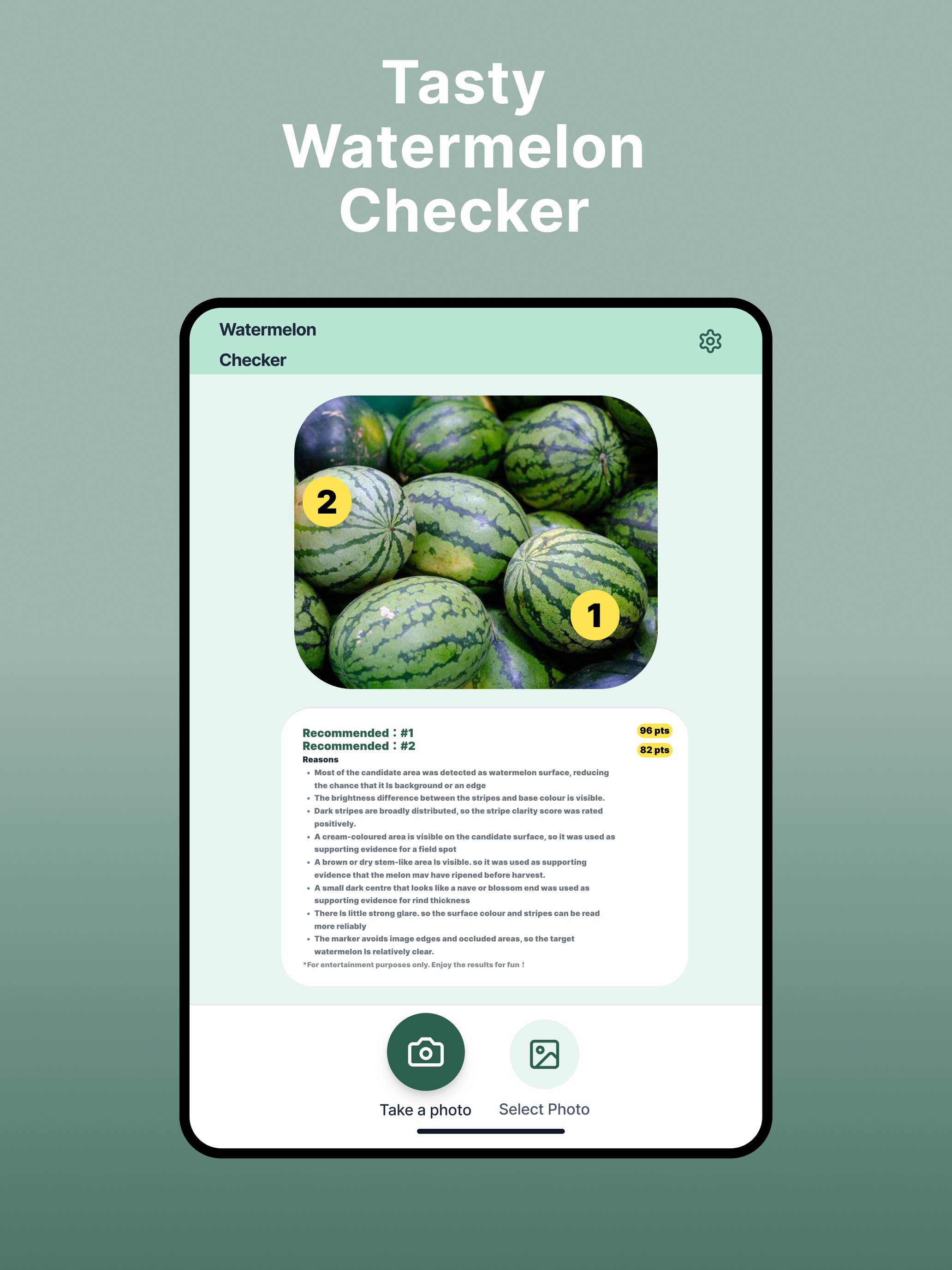 Watermelon Checker