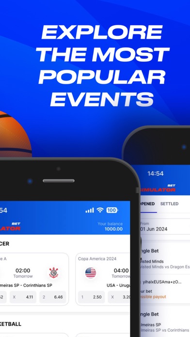 Bet Simulator Screenshot