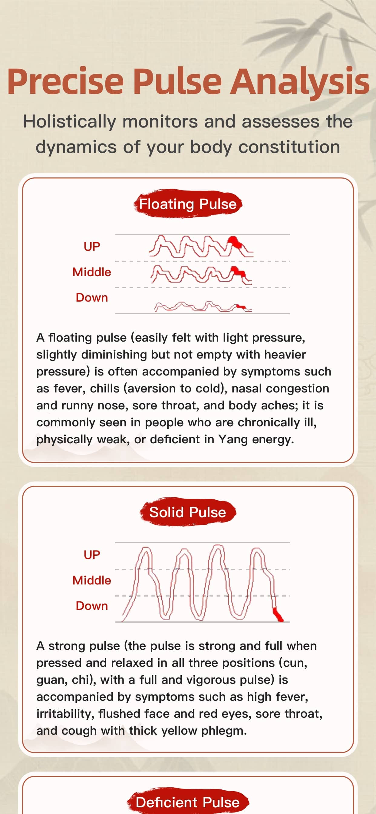 AI Pulse Diagnosis - TCM