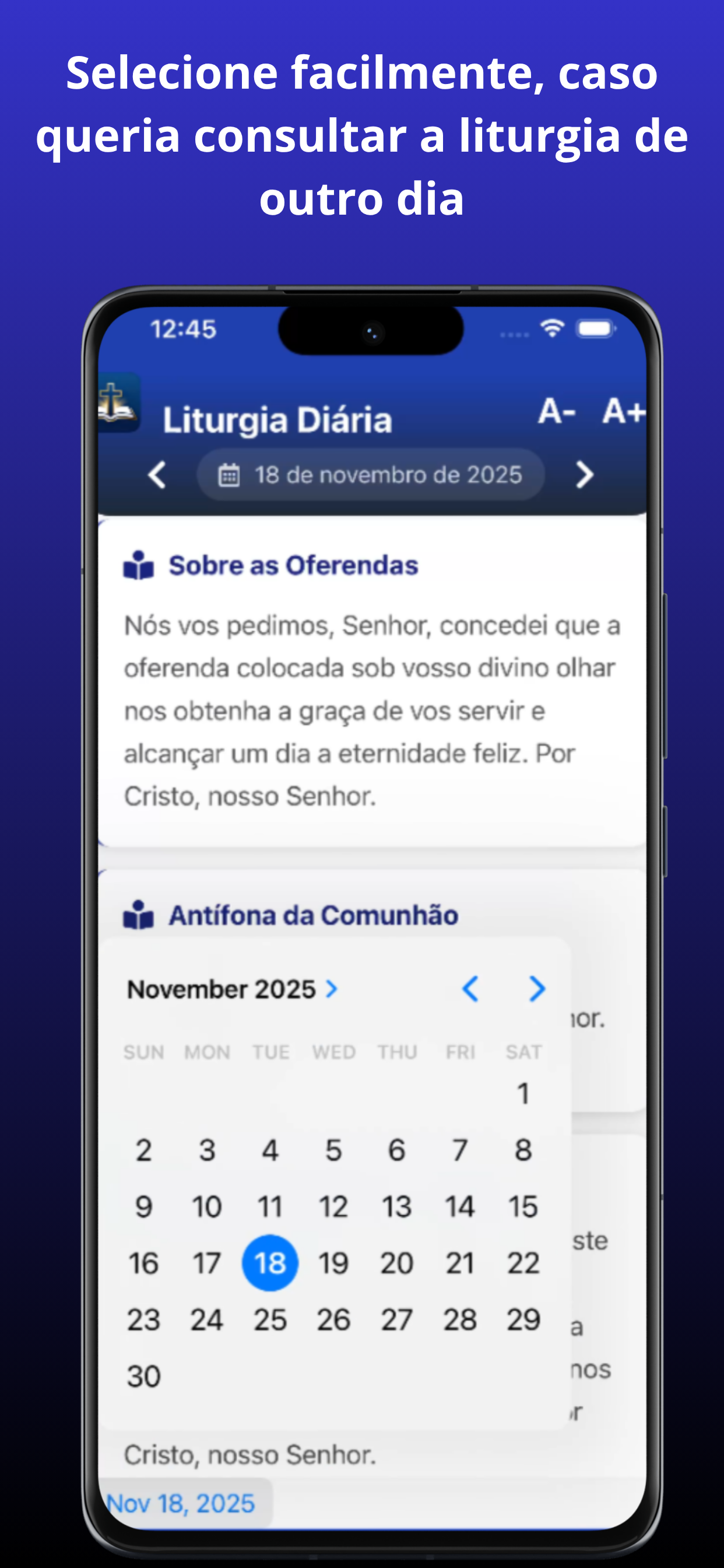 Liturgia Diária com Homilia screenshot 3