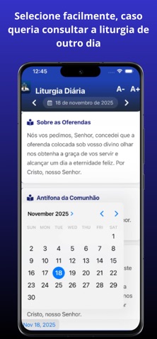 Liturgia Diária com Homilia screenshot