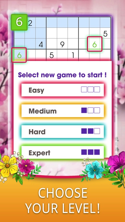 Sudoku - Solve Classic Puzzles