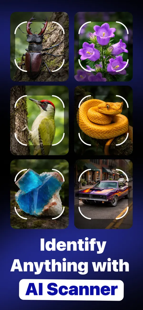 Screenshot #2 pour AI Scanner・Objects Identifier