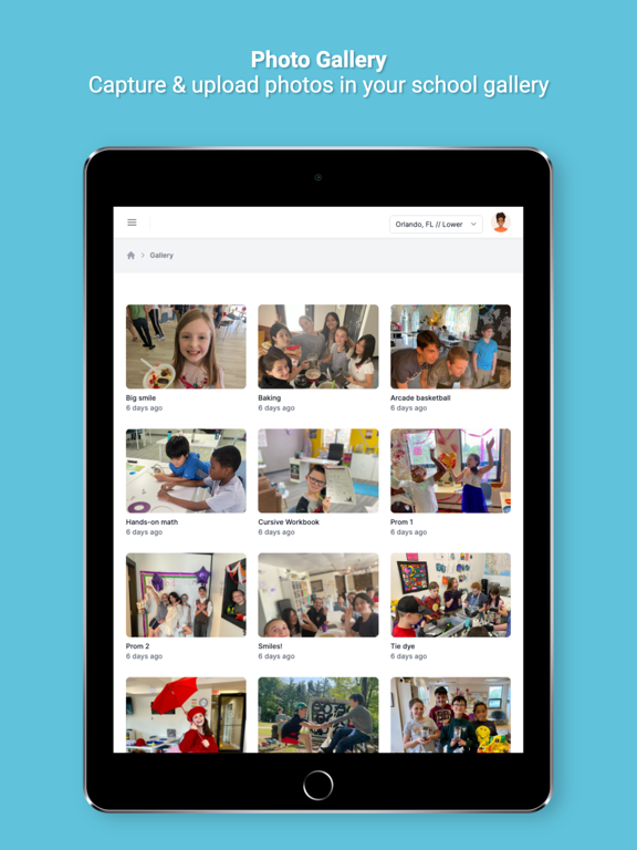 Newton by KaiPod Learning iPad screenshot 5 - Education app