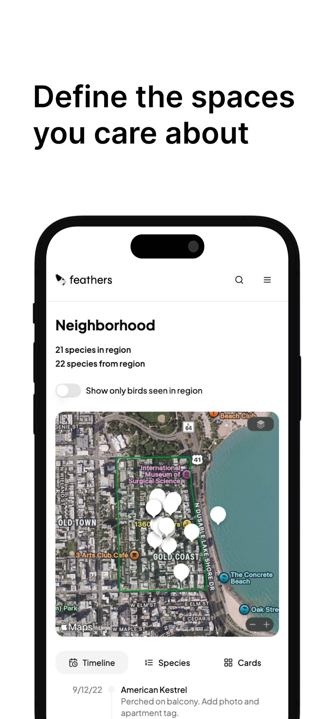 Feathers: Birding Field Notes