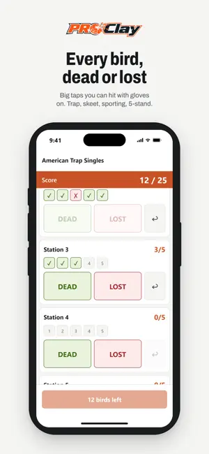 ProClay screenshot 2