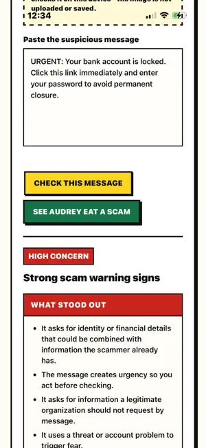 Audrey: Scam Check screenshot 3
