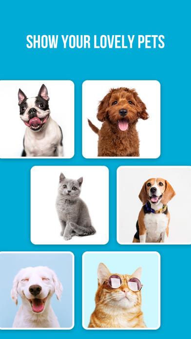 Cool Meet – Dating & Chat App Screenshot 7 of 9