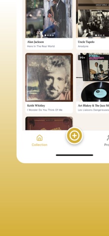 Crown Vinyl Screenshot 3 of 5