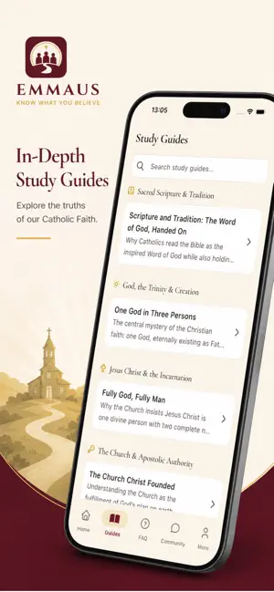Emmaus Fidei screenshot 4