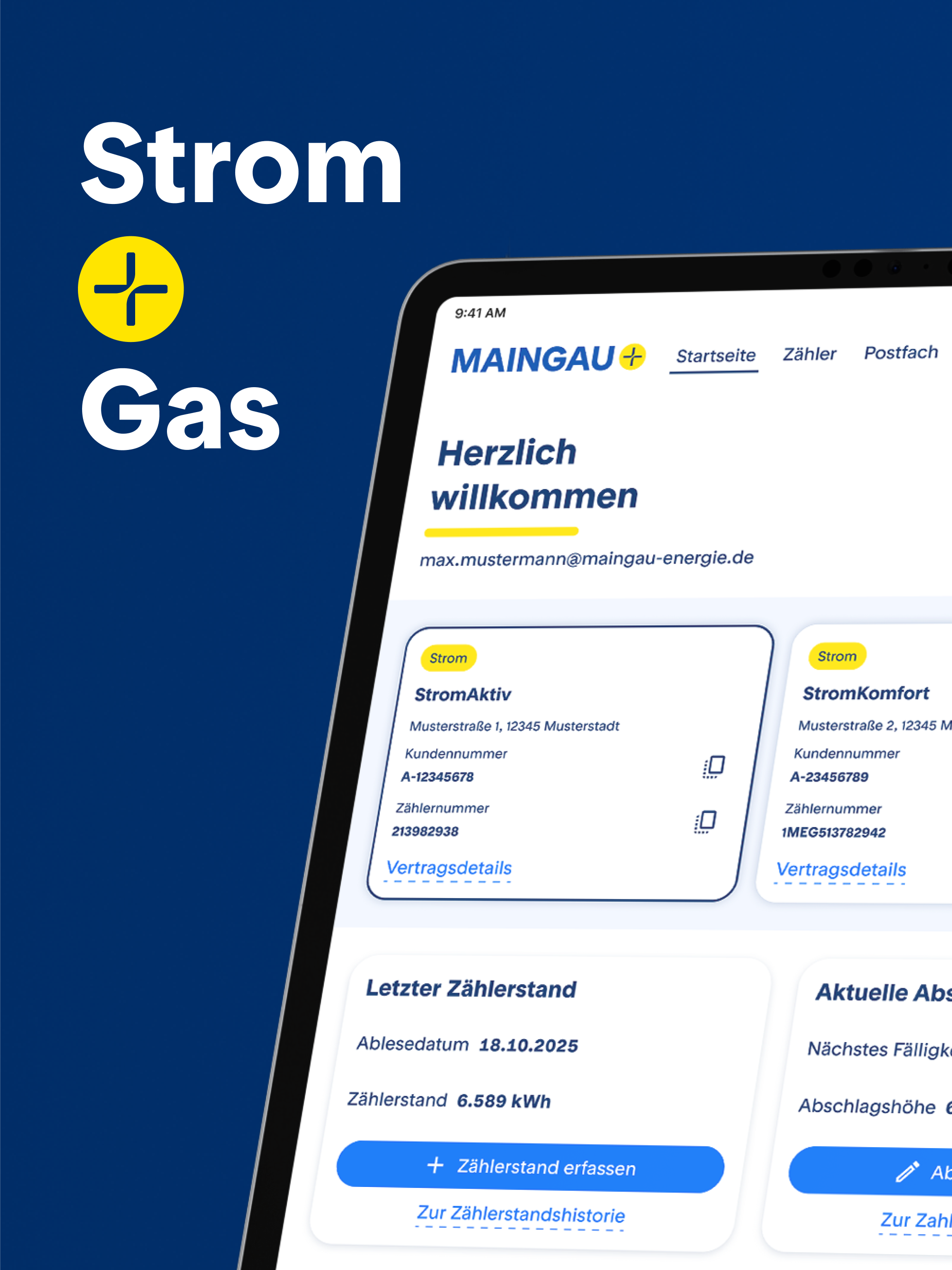 MAINGAU: Strom & Gas verwalten screenshot 10
